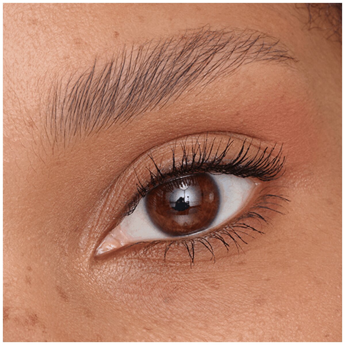 Catrice Brow Fix Soap Stylist Catrice Cosmetics