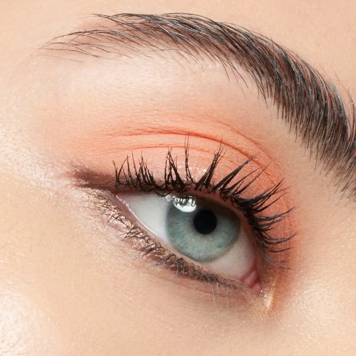 Catrice Colour & Fix Brow Gel Mascara 010 Catrice Cosmetics