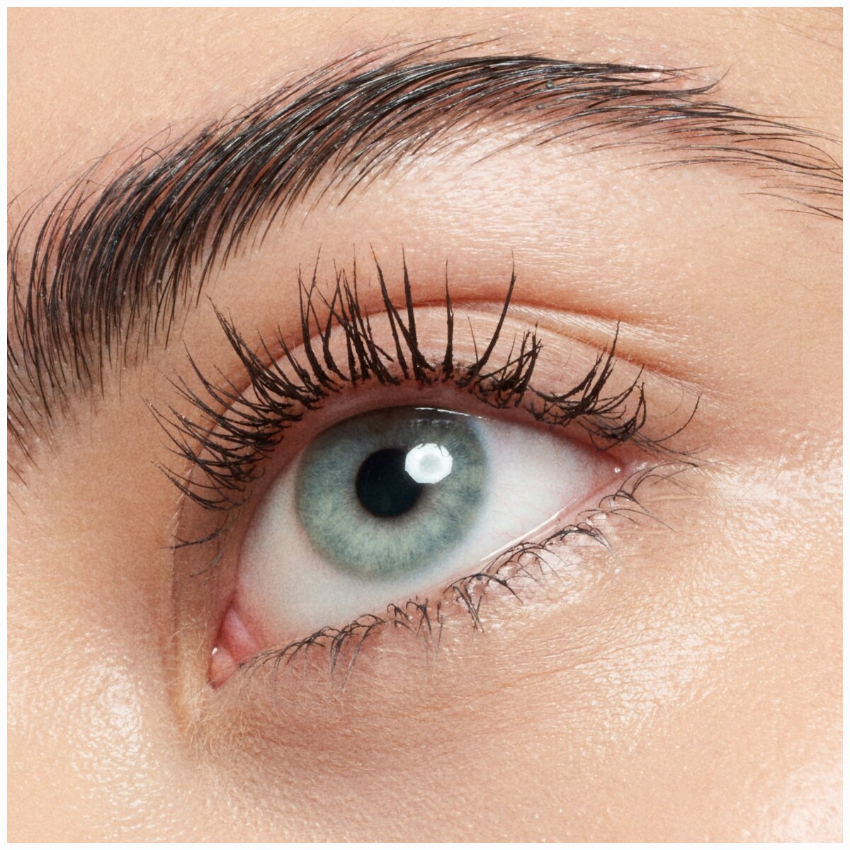 Catrice Pure Volume Magic Brown Mascara 010 | Burgundy Brown Catrice Cosmetics
