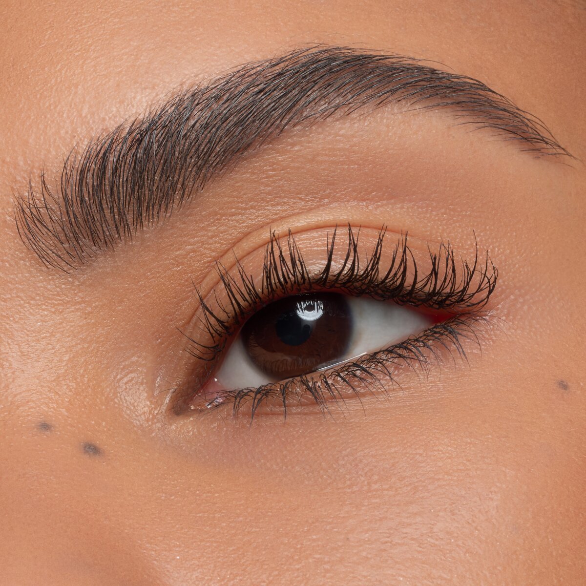 essence Lash Without Limits Extreme Lengthening & Volume Mascara 01 Ultra Black essence Cosmetics