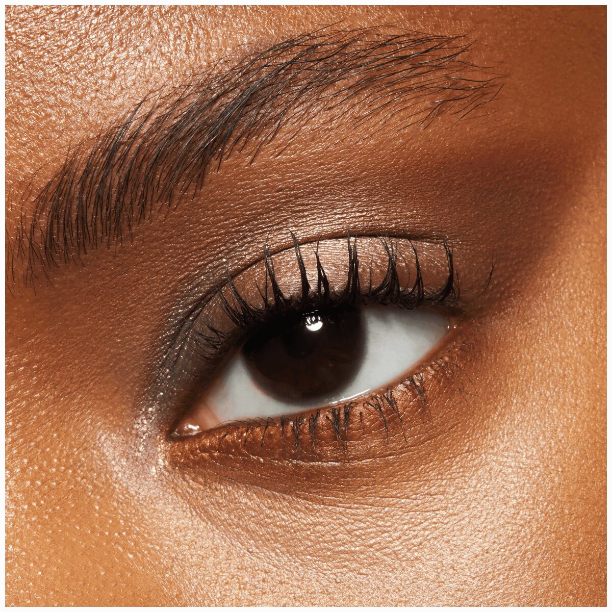 Catrice Safari Fever Slim Eyeshadow Palette 010 | Wild Life Catrice Cosmetics