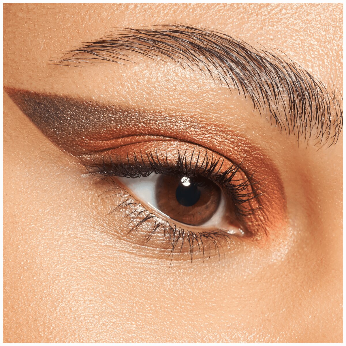 Catrice Safari Fever Slim Eyeshadow Palette 010 | Wild Life Catrice Cosmetics