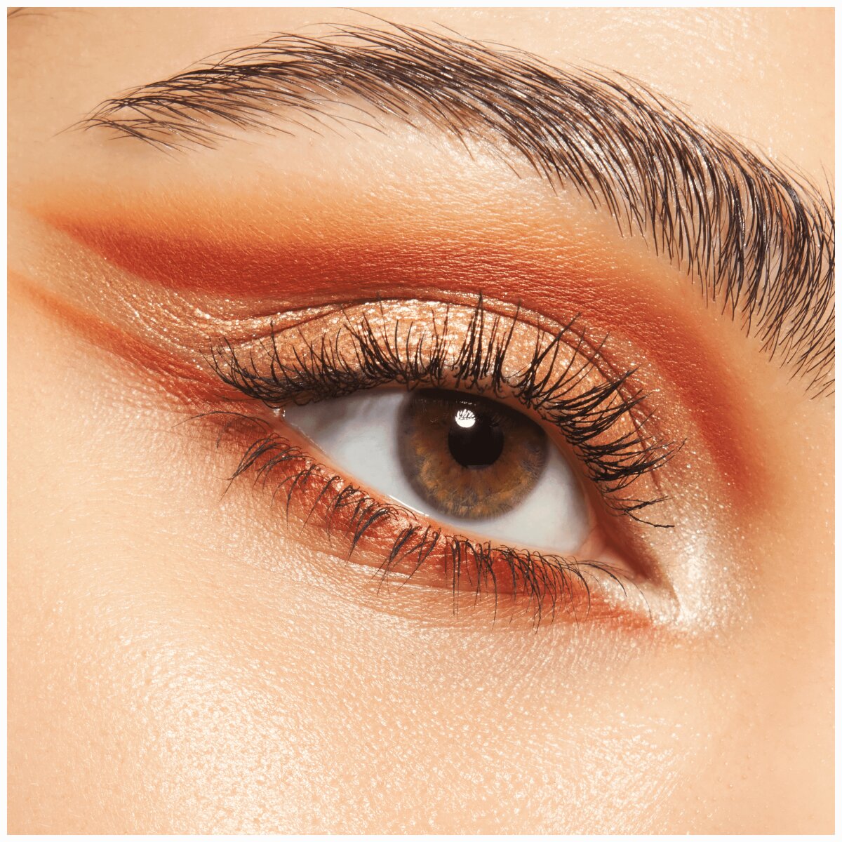 Catrice Safari Fever Slim Eyeshadow Palette 010 | Wild Life Catrice Cosmetics