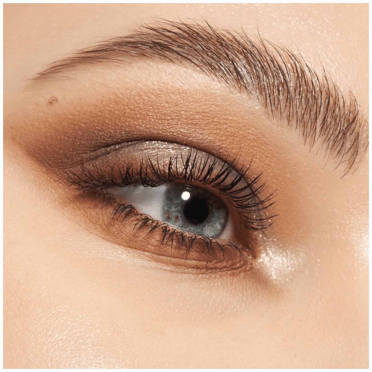 Catrice Safari Fever Slim Eyeshadow Palette 010 | Wild Life Catrice Cosmetics