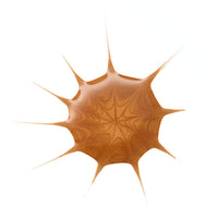 essence Drop Of sunshine Bronzing Drops essence Cosmetics
