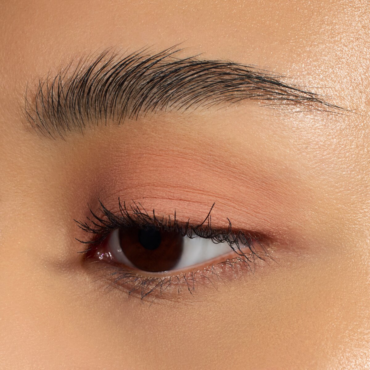 essence Matte Liquid Eyeshadow essence Cosmetics