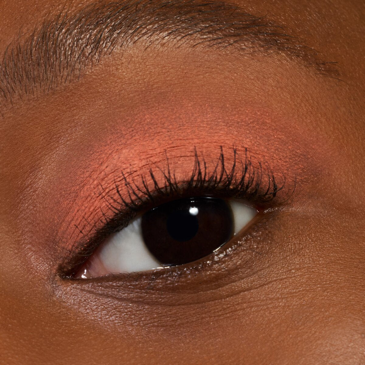 essence Matte Liquid Eyeshadow essence Cosmetics