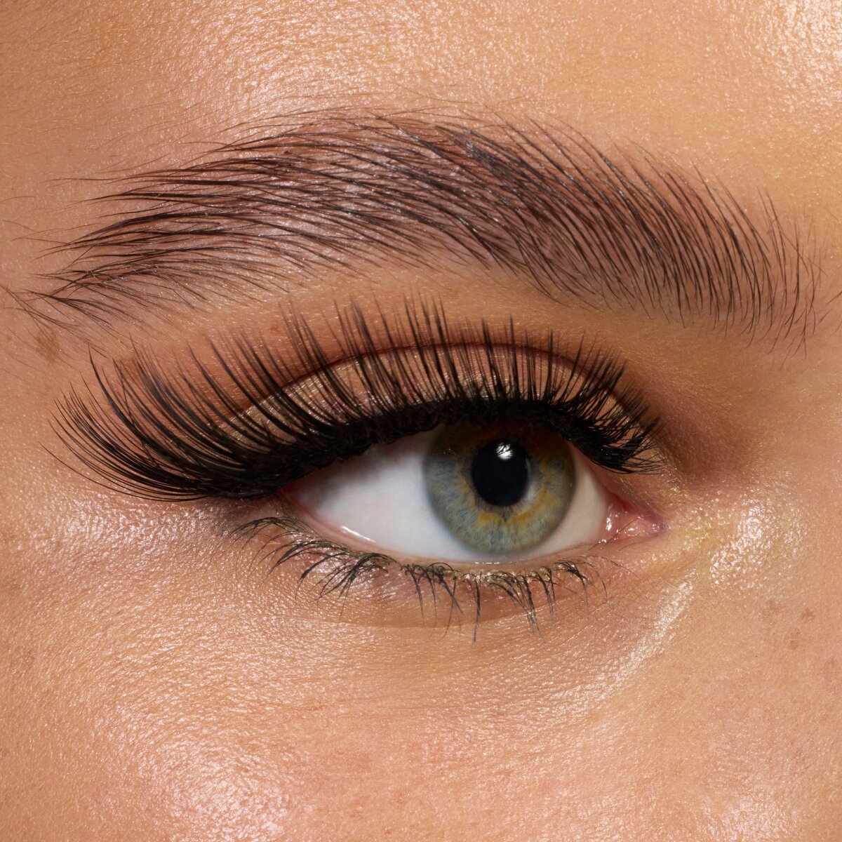 essence Cateyes! false lashes essence Cosmetics