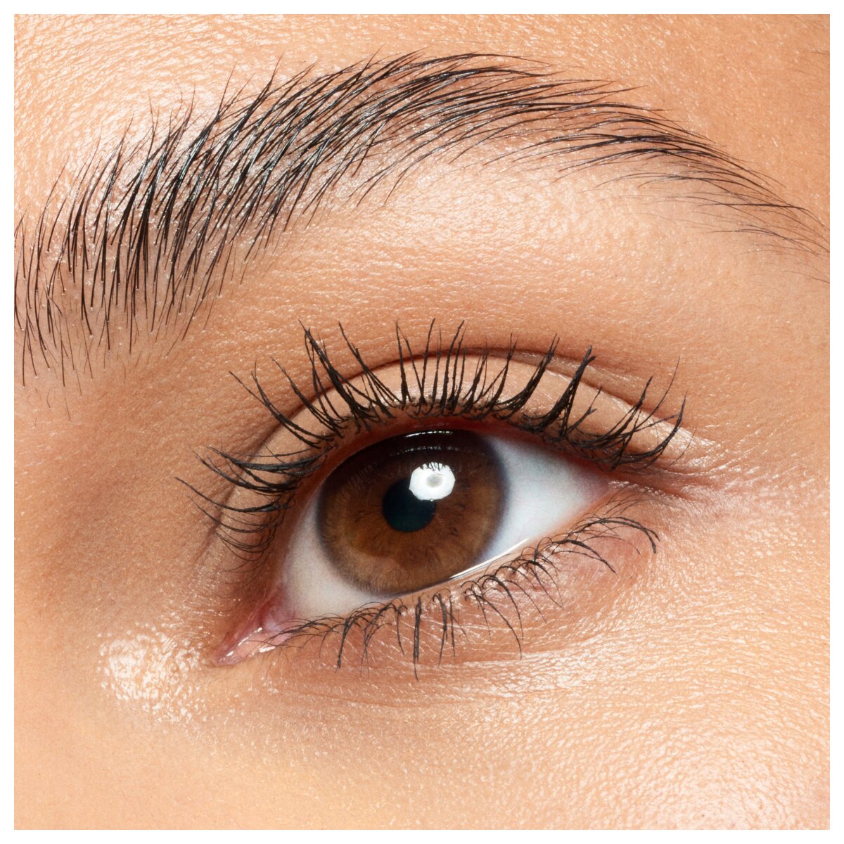 Catrice Lash Brow Designer Shaping And Conditioning Mascara Gel 010 Catrice Cosmetics