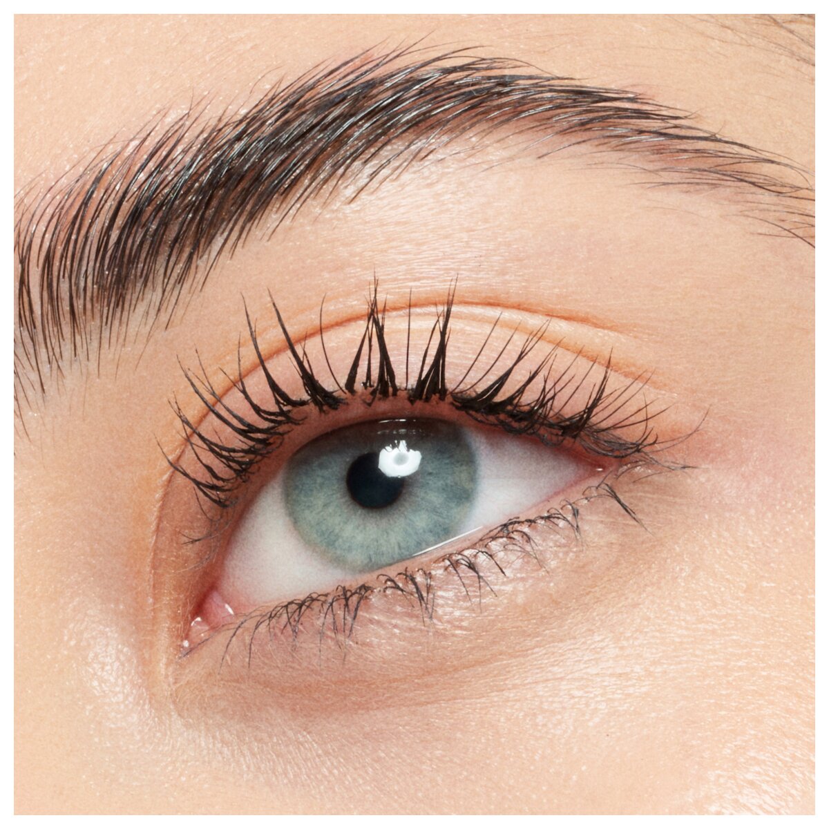 Catrice Lash Brow Designer Shaping And Conditioning Mascara Gel 010 Catrice Cosmetics