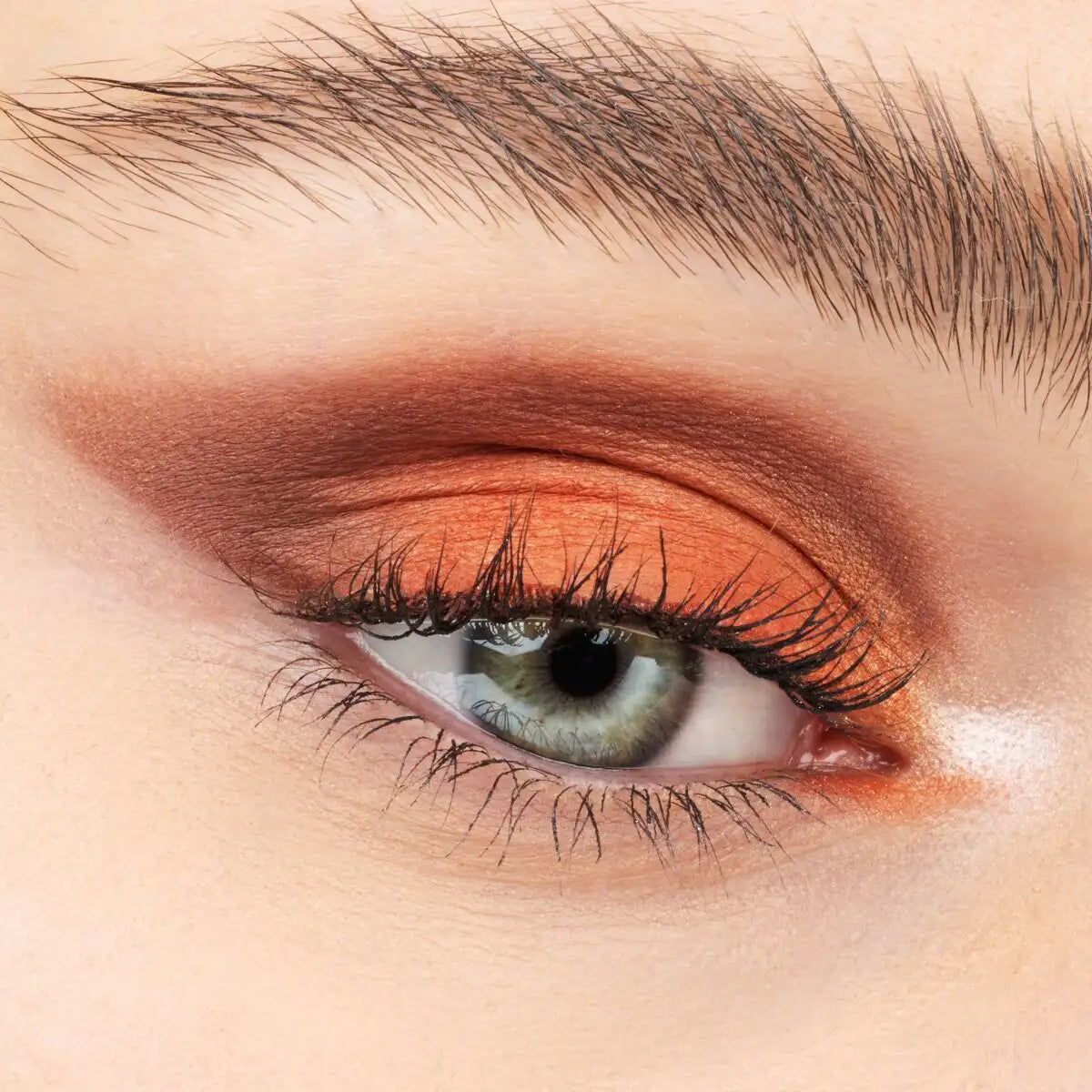 essence Blooming Wings Eyeshadow Palette 03 essence Cosmetics