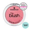 Essence The Blush | 7 Shades Essence Cosmetics Beloved 40  